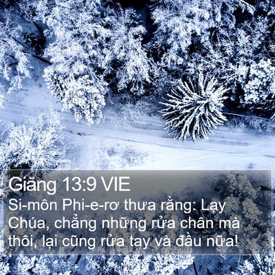 Giăng 13:9 VIE Bible Verse Image