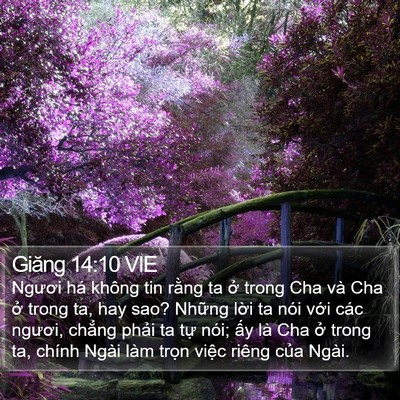 Giăng 14:10 VIE Bible Verse Image
