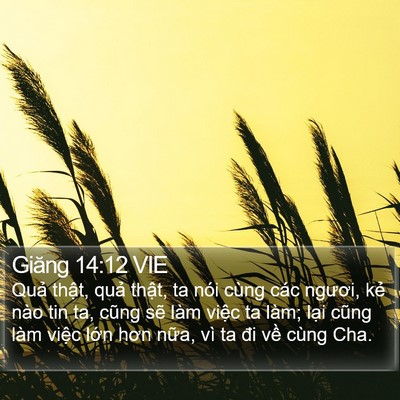 Giăng 14:12 VIE Bible Verse Image