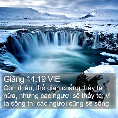Giăng 14:19 VIE Bible Verse Image
