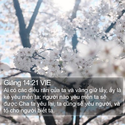 Giăng 14:21 VIE Bible Verse Image