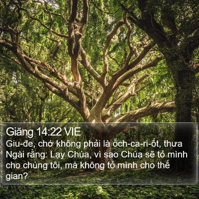 Giăng 14:22 VIE Bible Verse Image