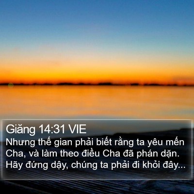 Giăng 14:31 VIE Bible Verse Image