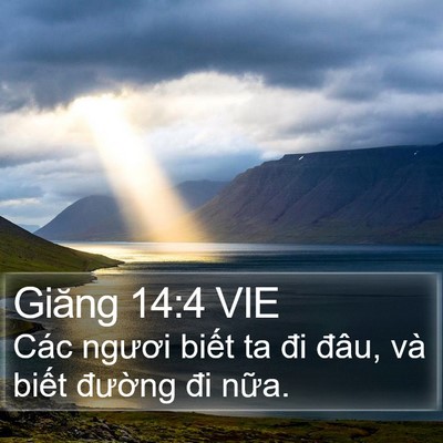 Giăng 14:4 VIE Bible Verse Image