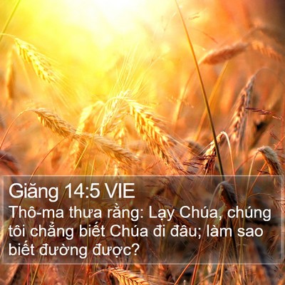 Giăng 14:5 VIE Bible Verse Image
