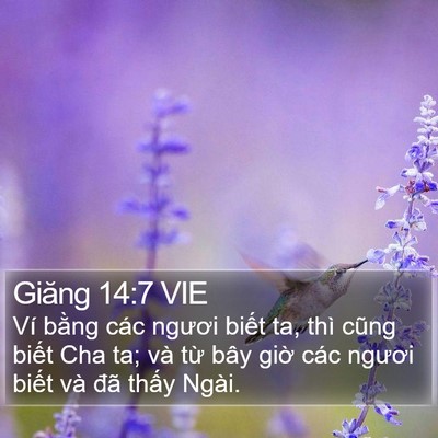 Giăng 14:7 VIE Bible Verse Image