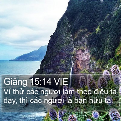 Giăng 15:14 VIE Bible Verse Image