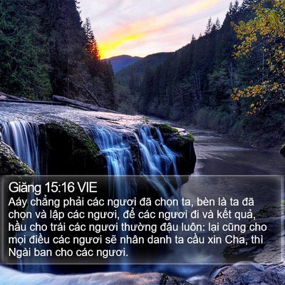 Giăng 15:16 VIE Bible Verse Image
