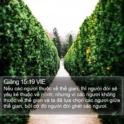 Giăng 15:19 VIE Bible Verse Image