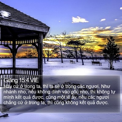 Giăng 15:4 VIE Bible Verse Image
