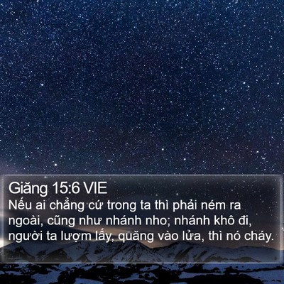 Giăng 15:6 VIE Bible Verse Image