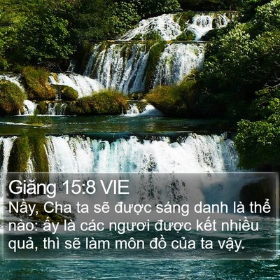 Giăng 15:8 VIE Bible Verse Image