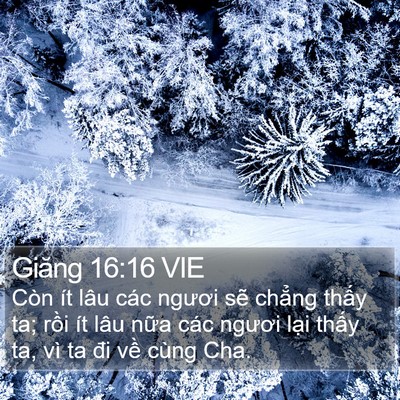 Giăng 16:16 VIE Bible Verse Image