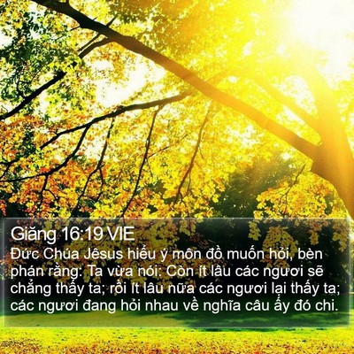 Giăng 16:19 VIE Bible Verse Image