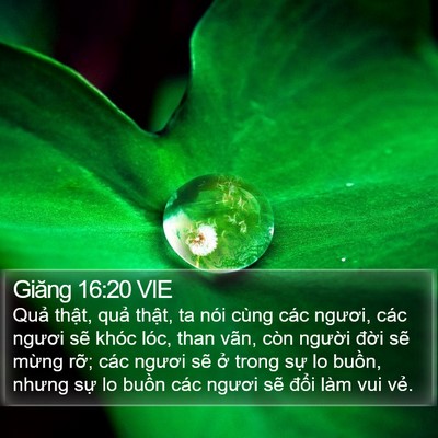 Giăng 16:20 VIE Bible Verse Image