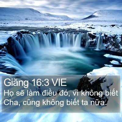 Giăng 16:3 VIE Bible Verse Image
