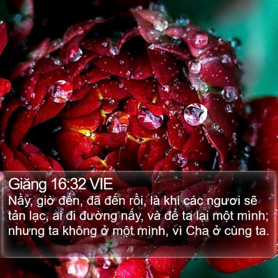 Giăng 16:32 VIE Bible Verse Image