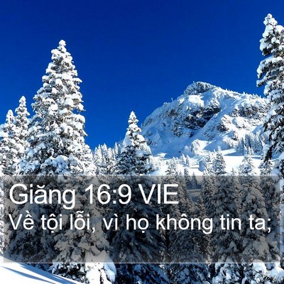 Giăng 16:9 VIE Bible Verse Image