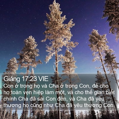 Giăng 17:23 VIE Bible Verse Image