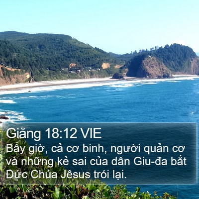 Giăng 18:12 VIE Bible Verse Image