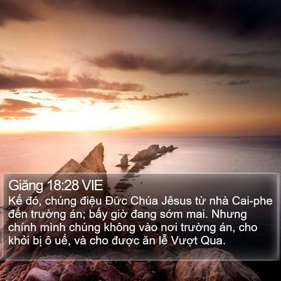 Giăng 18:28 VIE Bible Verse Image