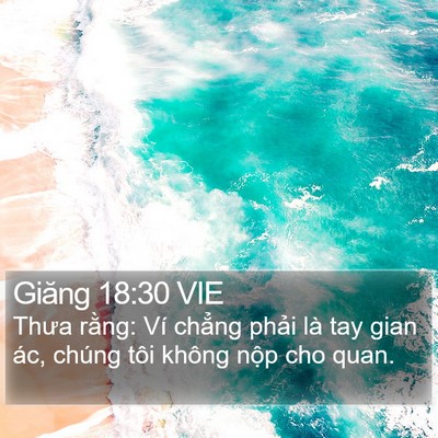 Giăng 18:30 VIE Bible Verse Image