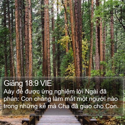 Giăng 18:9 VIE Bible Verse Image