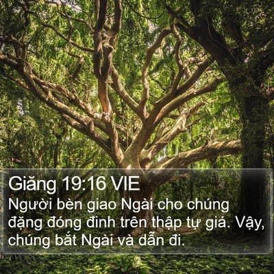 Giăng 19:16 VIE Bible Verse Image