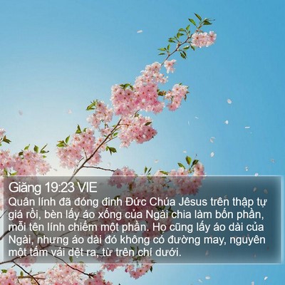 Giăng 19:23 VIE Bible Verse Image