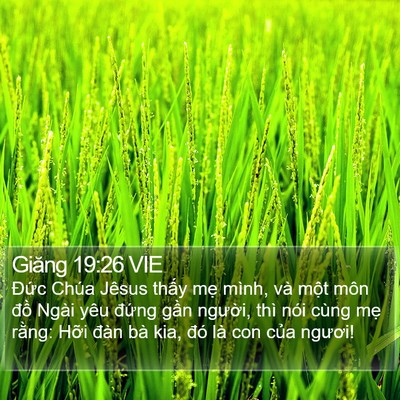 Giăng 19:26 VIE Bible Verse Image