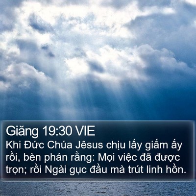 Giăng 19:30 VIE Bible Verse Image