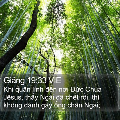 Giăng 19:33 VIE Bible Verse Image