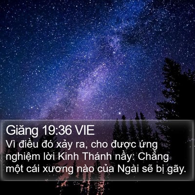 Giăng 19:36 VIE Bible Verse Image