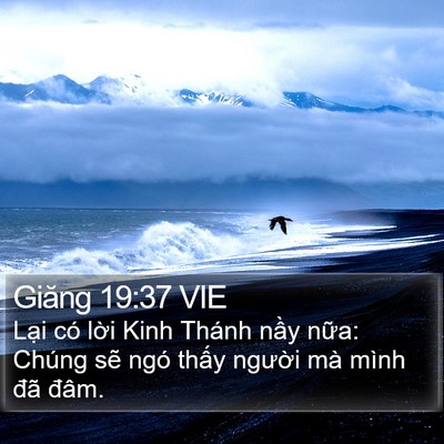 Giăng 19:37 VIE Bible Verse Image