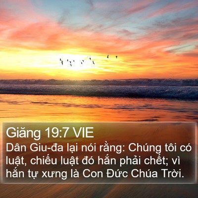Giăng 19:7 VIE Bible Verse Image
