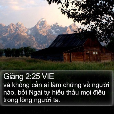 Giăng 2:25 VIE Bible Verse Image