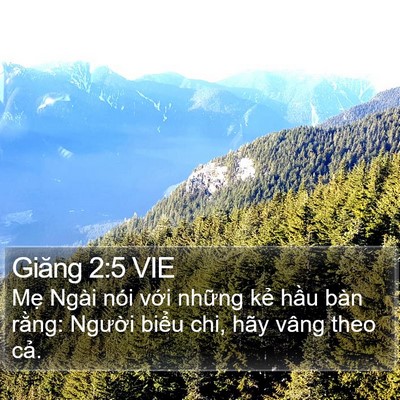 Giăng 2:5 VIE Bible Verse Image