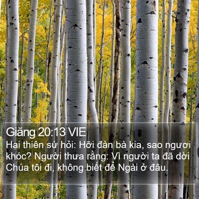 Giăng 20:13 VIE Bible Verse Image