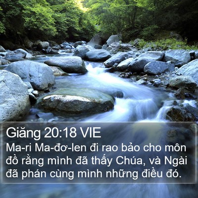 Giăng 20:18 VIE Bible Verse Image