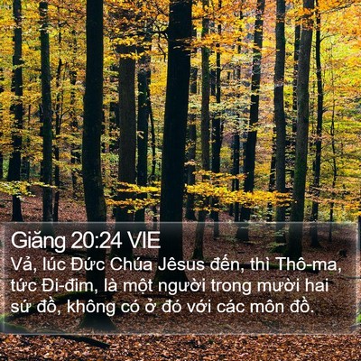 Giăng 20:24 VIE Bible Verse Image
