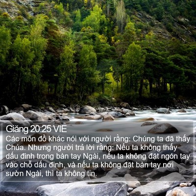 Giăng 20:25 VIE Bible Verse Image