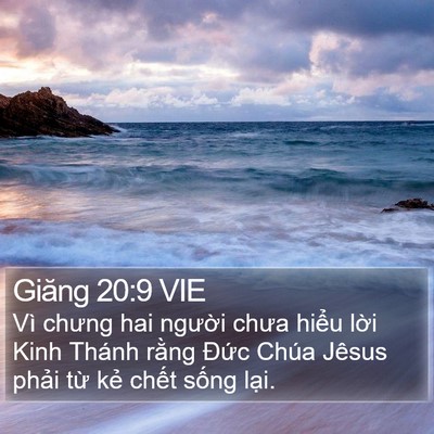 Giăng 20:9 VIE Bible Verse Image