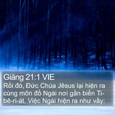 Giăng 21:1 VIE Bible Verse Image