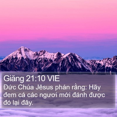 Giăng 21:10 VIE Bible Verse Image