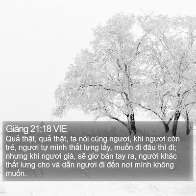 Giăng 21:18 VIE Bible Verse Image