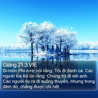 Giăng 21:3 VIE Bible Verse Image