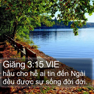Giăng 3:15 VIE Bible Verse Image