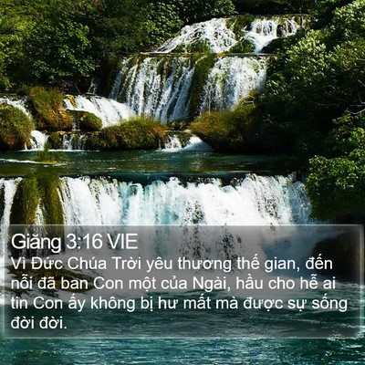 Giăng 3:16 VIE Bible Verse Image