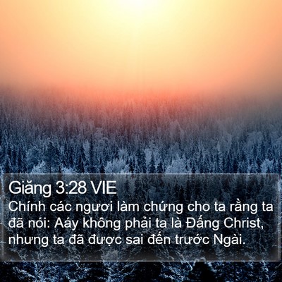 Giăng 3:28 VIE Bible Verse Image