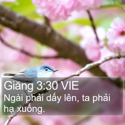 Giăng 3:30 VIE Bible Verse Image